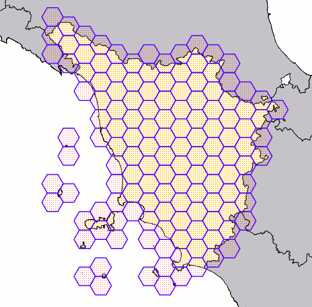 hexagonal grid