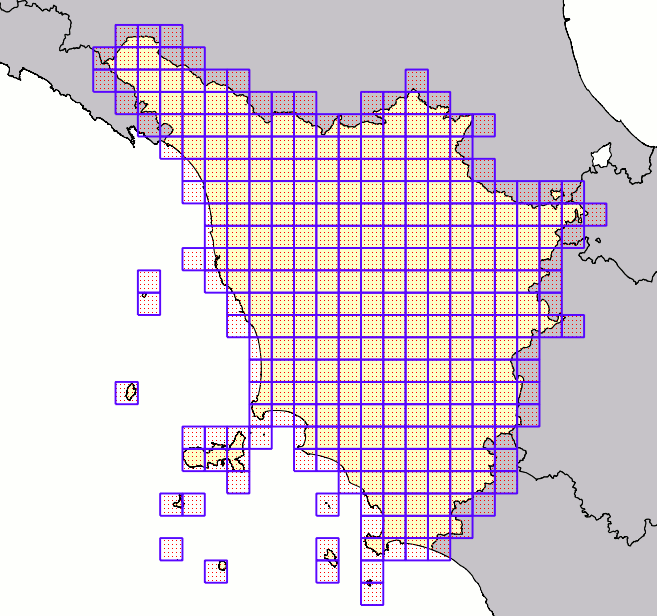 square grid