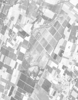 Landsat8 histogram